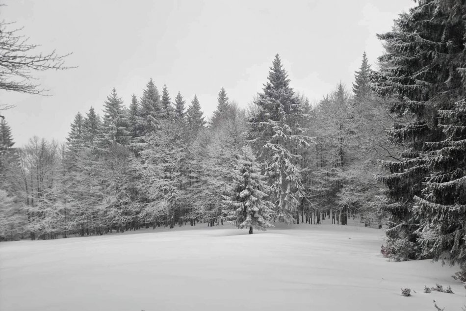 V OBRAZOCH: Poľana je atraktívna aj v zime