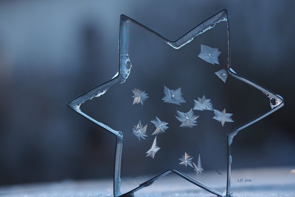 V OBRAZOCH: Lucia zachytáva diela mrazov v tvare hviezd