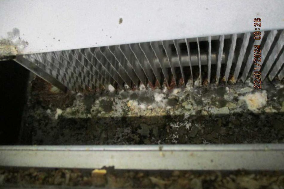 Ako dopadli januárové kontroly prevádzok?