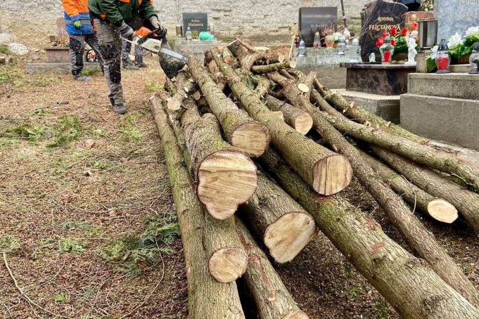 V OBRAZOCH: V Brezne robia výrub 30 stromov