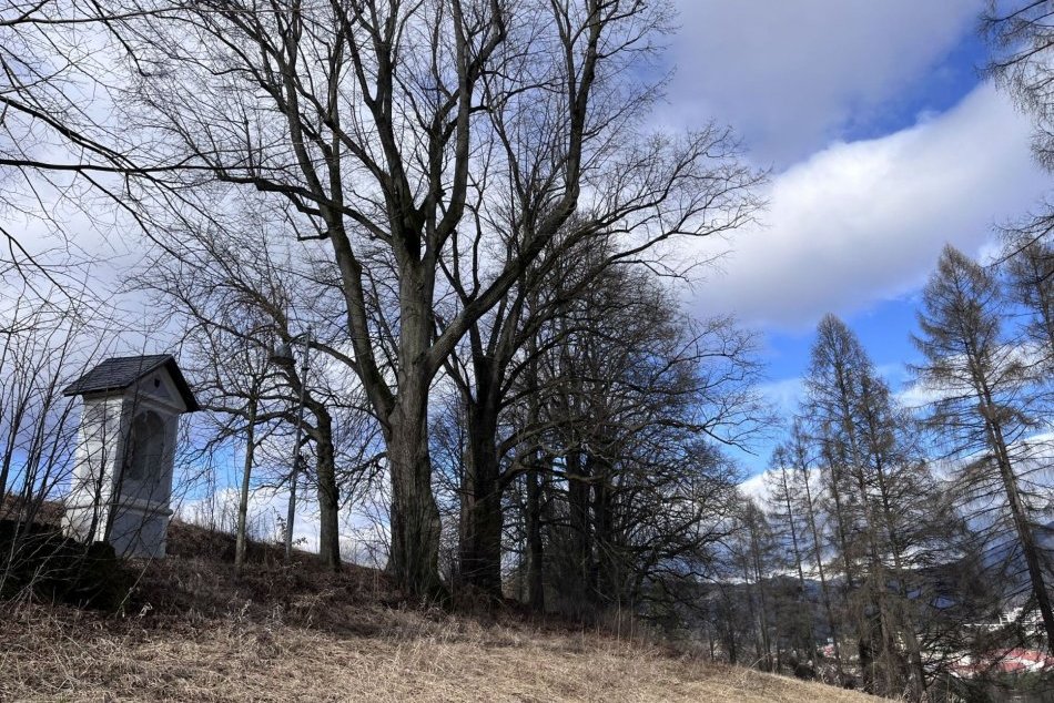 V OBRAZOCH: Lipovo-gaštanová alej lemujúca trasu krížovej cesty na kalvárii