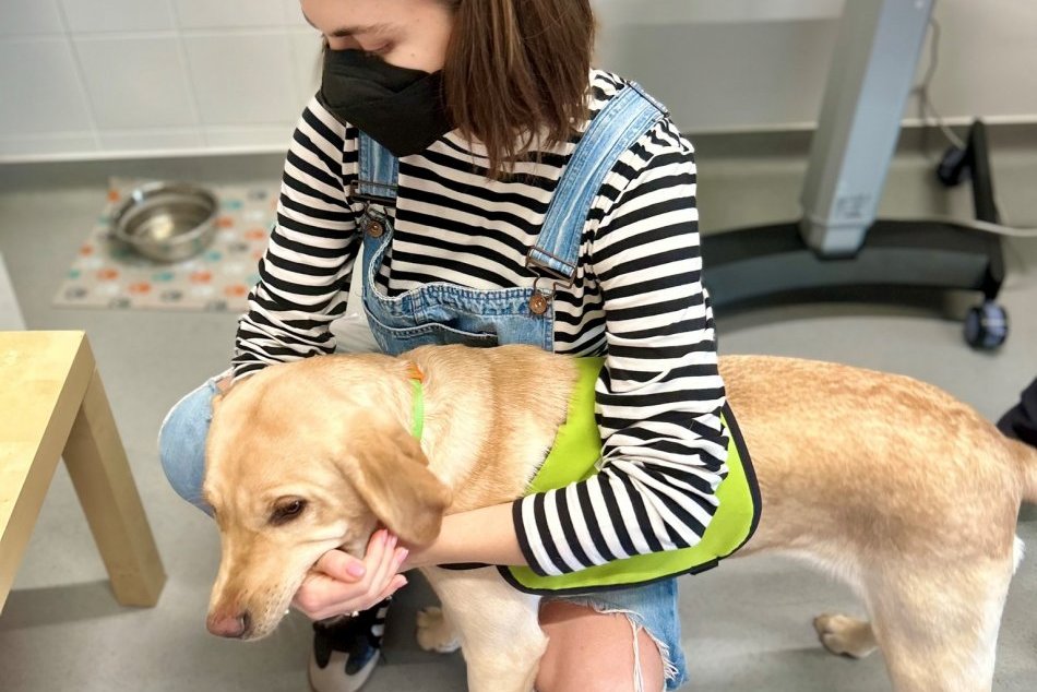 Fenka Brya "ambuluje" na očnom v novozámockej nemocnici: Prechádza výcvikom