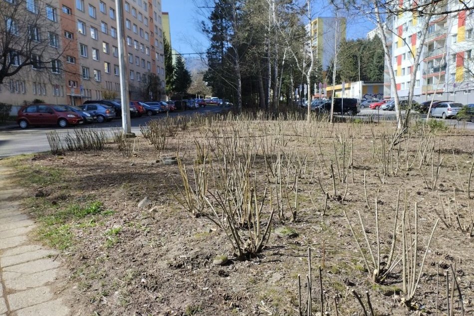 V OBRAZOCH: V Bystrici zrevitalizovali Moskovskú ulicu