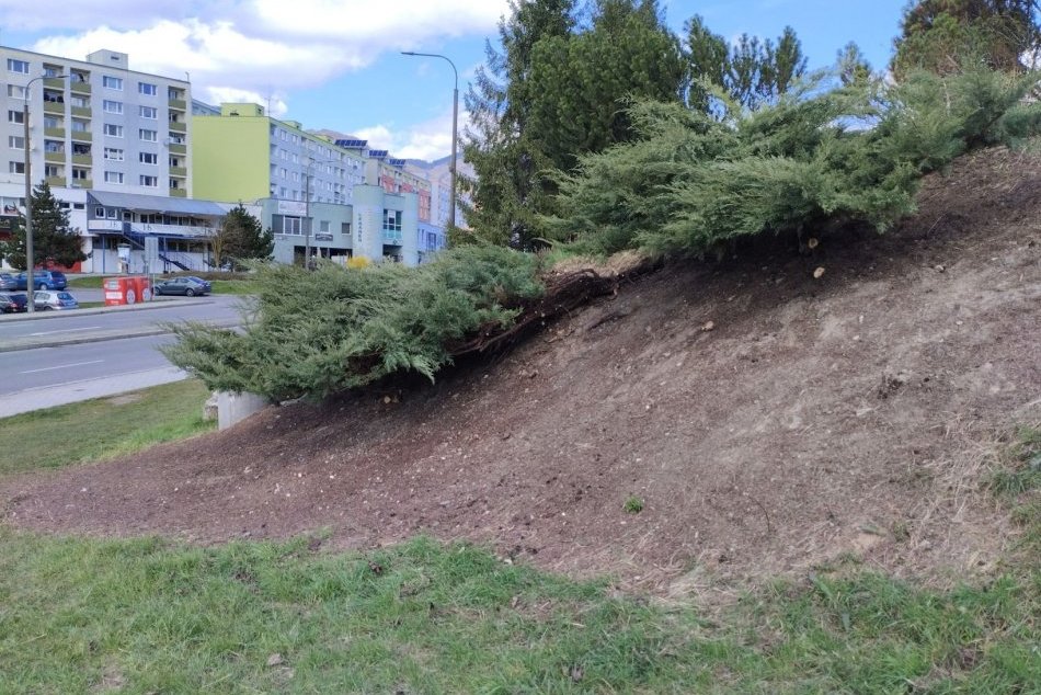 V OBRAZOCH: V Sásovej zrevitalizovali lokalitu Kosodrevina