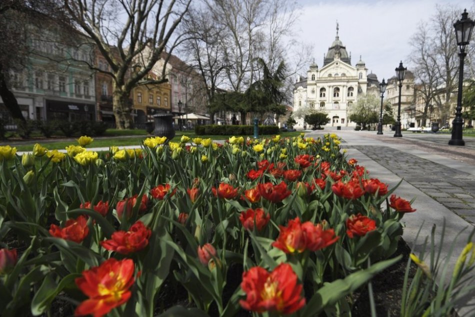 Jarné zábery z Košíc