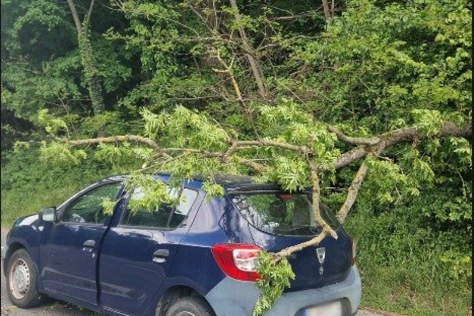 Na auto spadol na Devínskej ceste strom