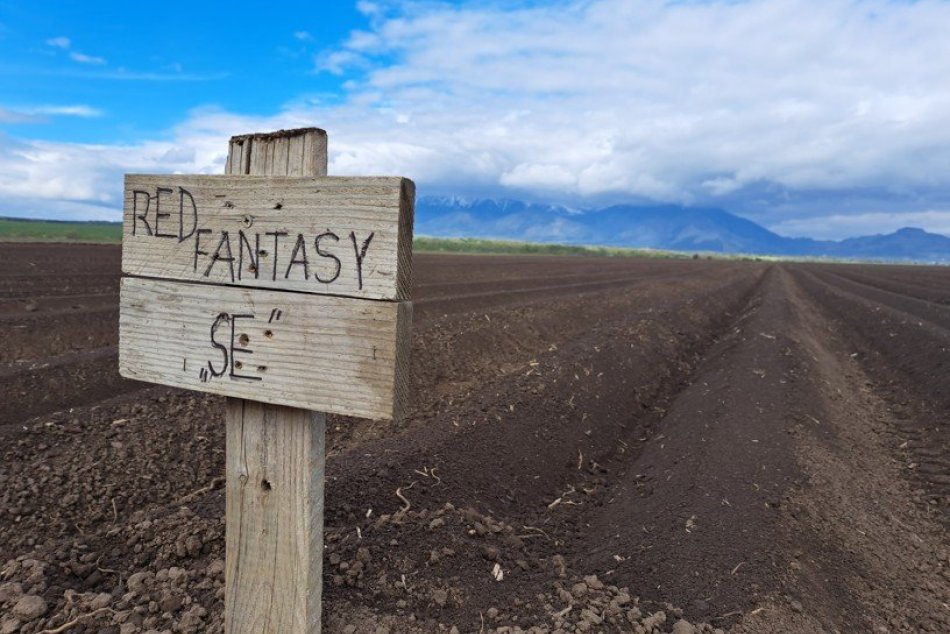 Výsadba zemiakov pod Tatrami už začala