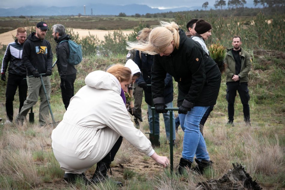 Prezidentka vysadila ďalšie stromy