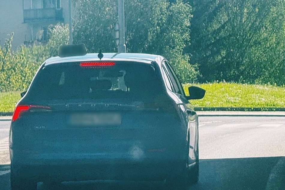V OBRAZOCH: Mladý vodič taxislužby šokoval policajtov priznaním