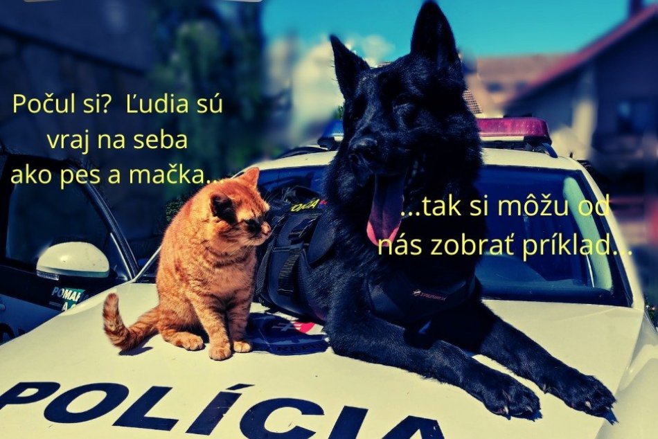 Policajný pes Hypo s kocúrom Elvisom idú ľuďom príkladom