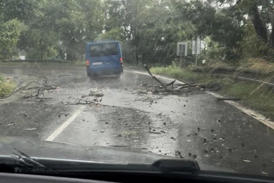 Popadané stromy na ceste po búrke v Poprade