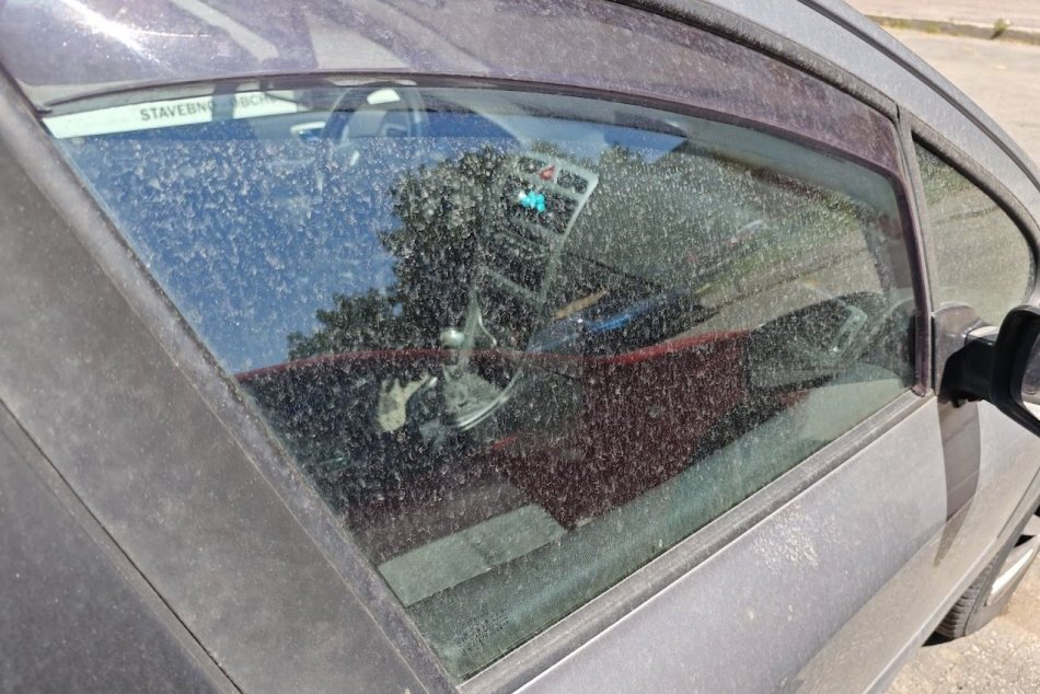 Saharský prach na Slovensku