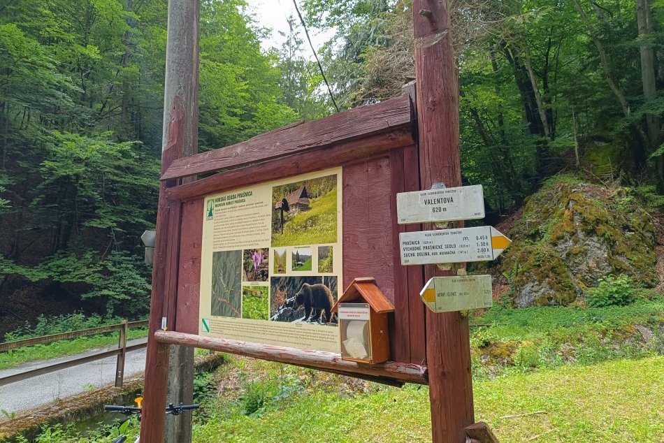 V OBRAZOCH: Prvá pomoc pri strete s medveďom