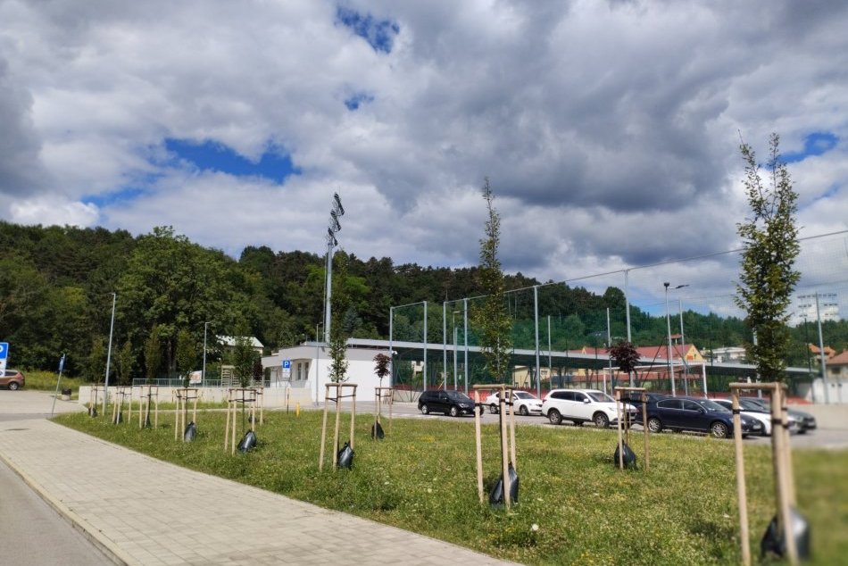 V OBRAZOCH: Zavlažovacie vaky v Banskej Bystrici