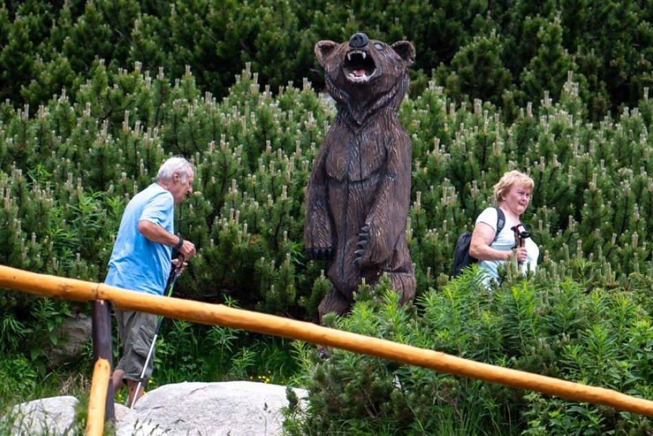 Turisti a medveď vo Vysokých Tatrách
