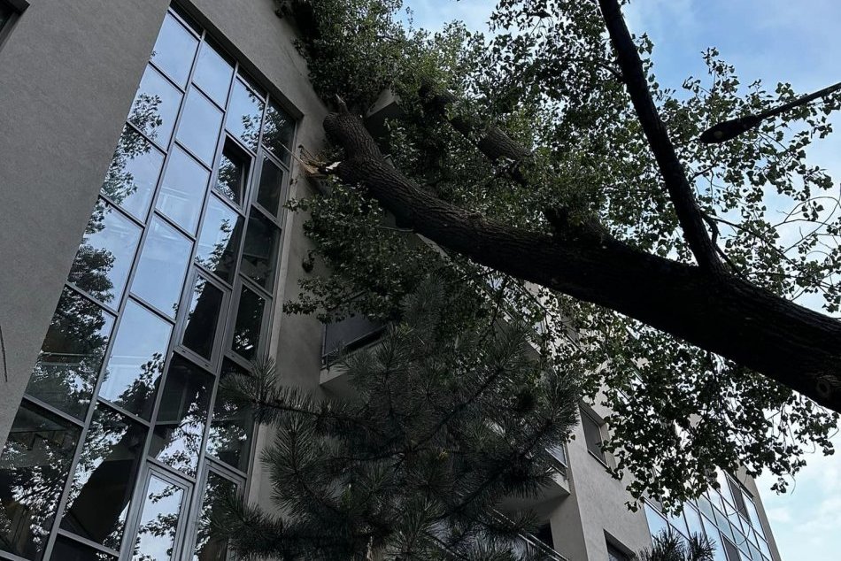 Na bytovku sa zrútil veľký strom