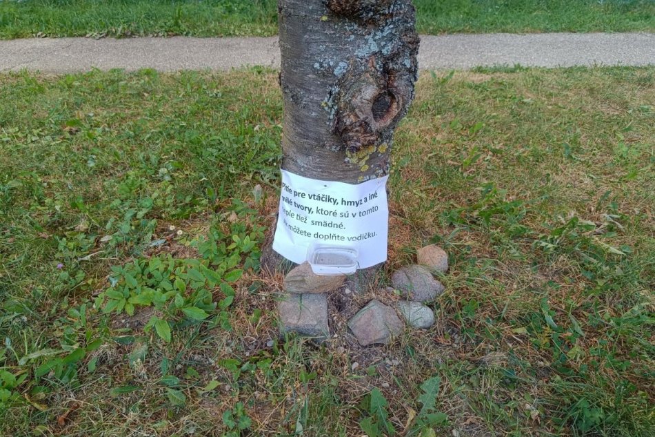 V OBRAZOCH: Ľudia pomáhajú zvieratám prežiť horúčavy