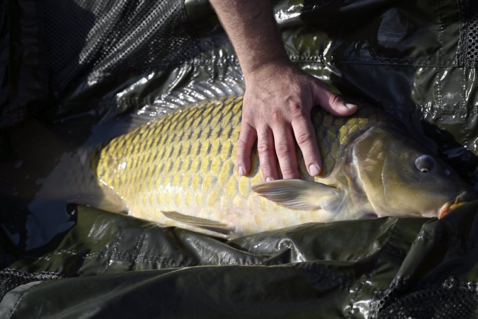 Rybári počas súťaže Zemplínsky kapor