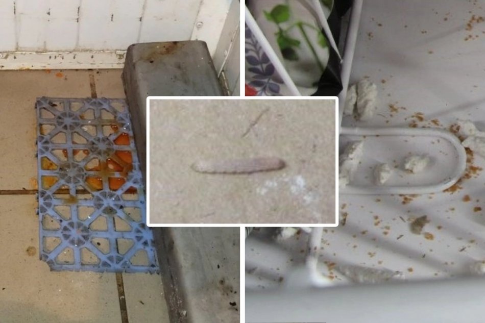 Čo odhalili septembrové kontroly?