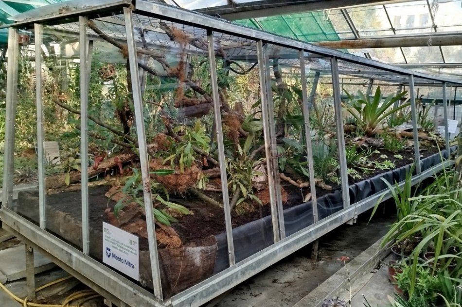 Fascinujúci svet mäsožravých a vodných rastlín