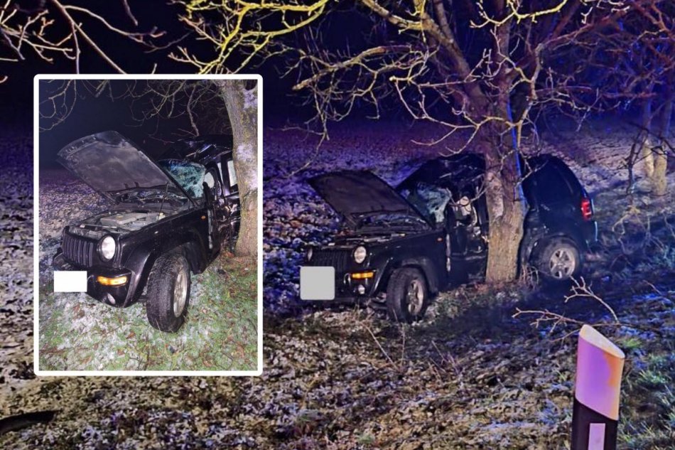 Po náraze do stromu zomrela mama dieťaťa, ktoré viezla v aute