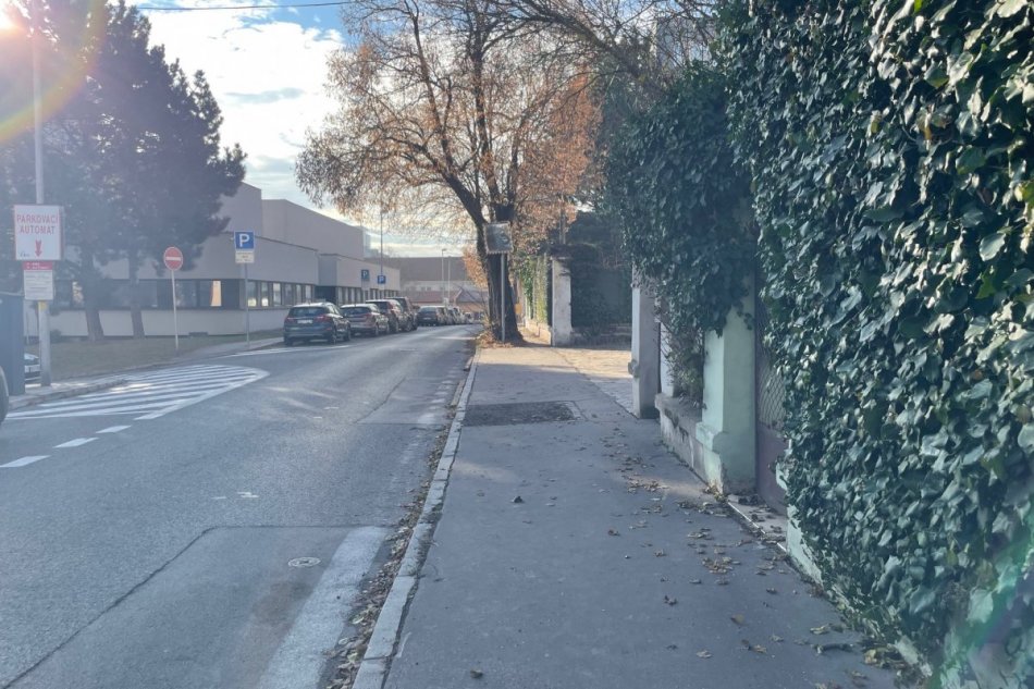 Stromy na Damborského ulici