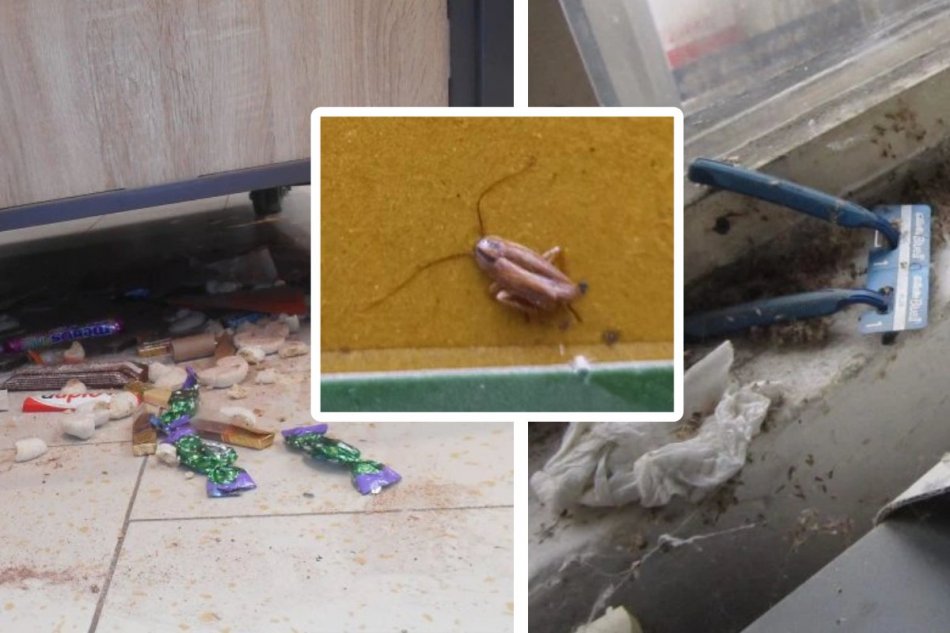 Výsledky januárových kontrol v obchodoch