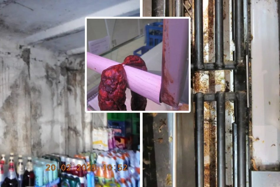 Odhalenia počas februárových kontrol potravín