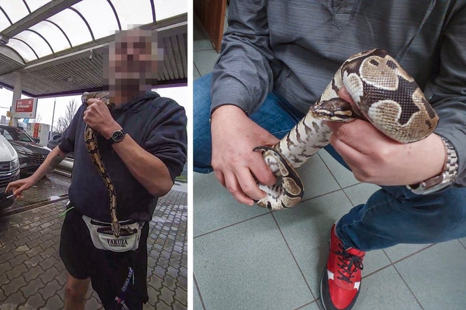 Opilec s hadom na krku robil "bordel" na čerpacej stanici