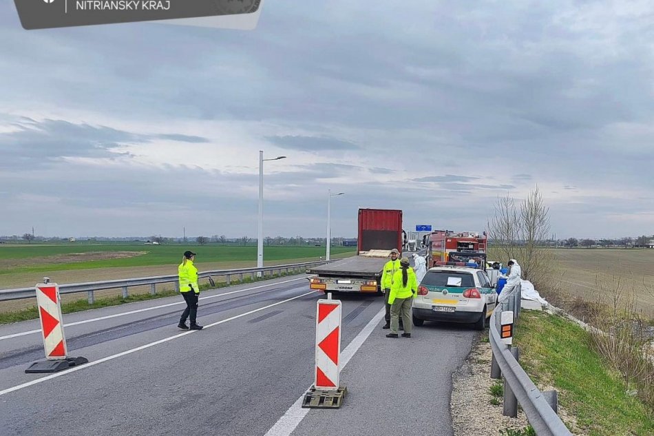 V OBRAZOCH: Policajné kontroly na hraničných priechodoch