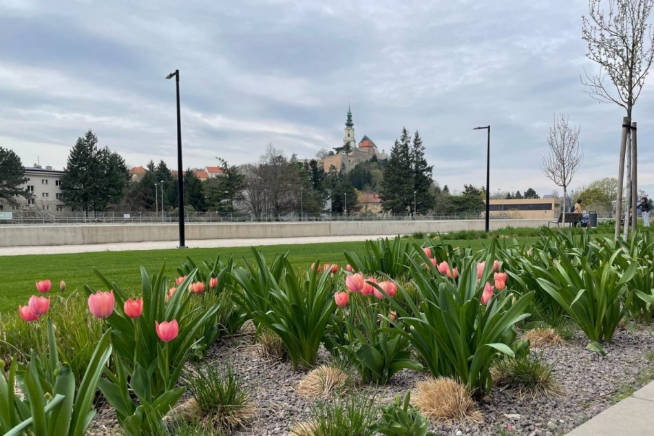 Kvetinové záhony pri Promenáde
