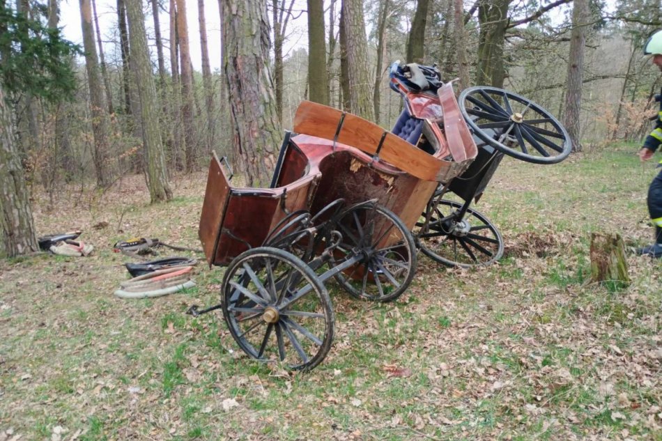 Kone sa splašili, koč zdemoloval náraz do stromov