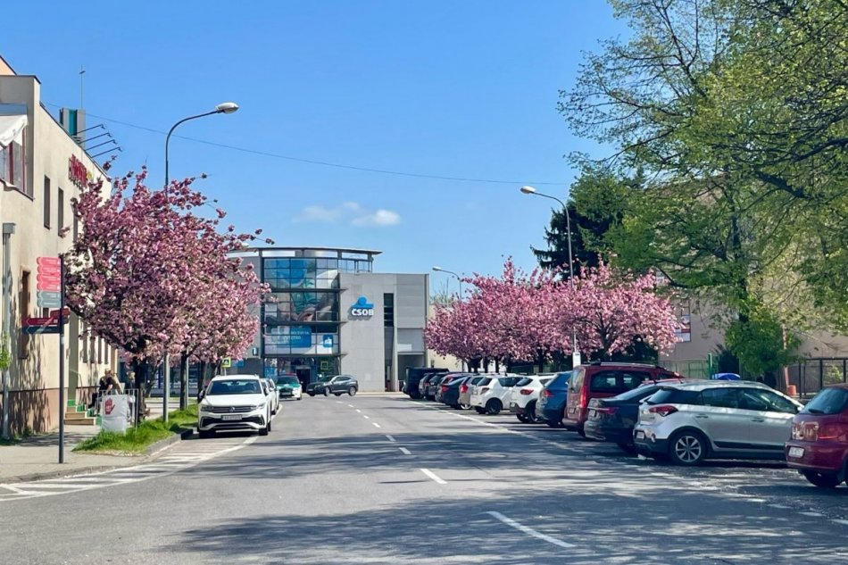 Ružová ulica Fraňa Mojtu