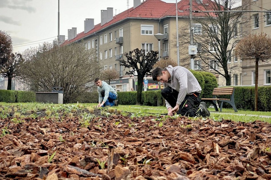 V OBRAZOCH: Študenti z SOŠ Pod Bánošom naberajú skúsenosti v ZAaRES-e