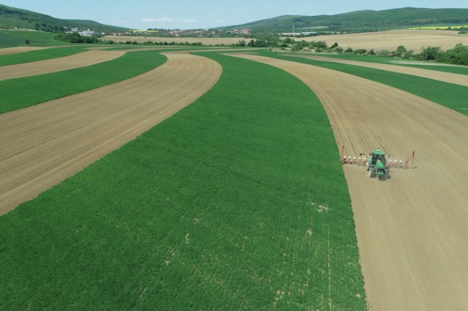 Pásové striedanie plodín