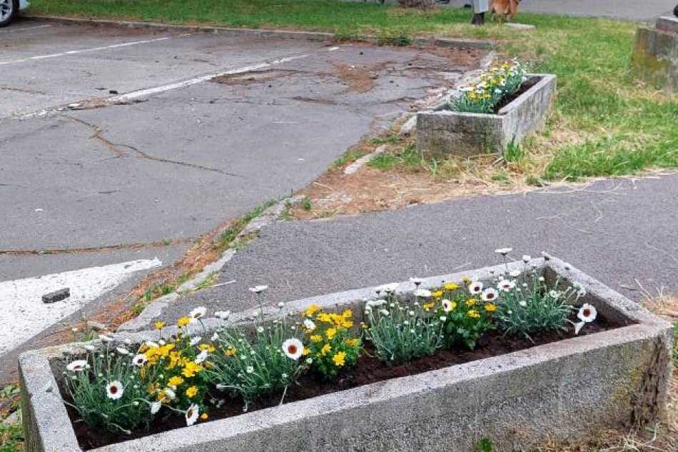 Adoptujte si kvetináč