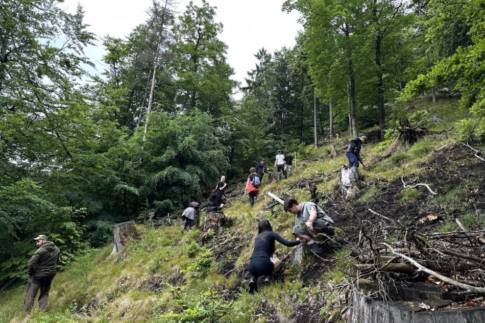 V OBRAZOCH: Žiaci vysadili stromčeky v Laskomerskej doline