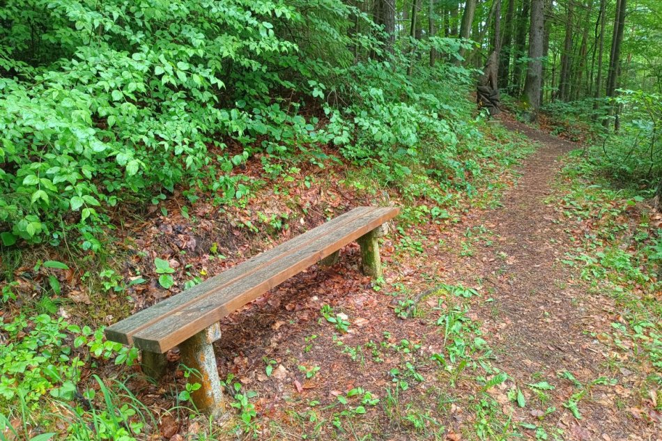 V OBRAZOCH: V lese nad Brusnom sa ukrýva Hríbikovo