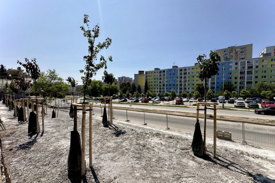 V OBRAZOCH: Hydroosev v Sásovej