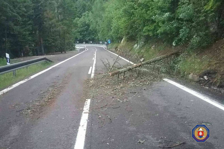 V OBRAZOCH: Búrky ničili stromy aj stožiare elektrického vedenia