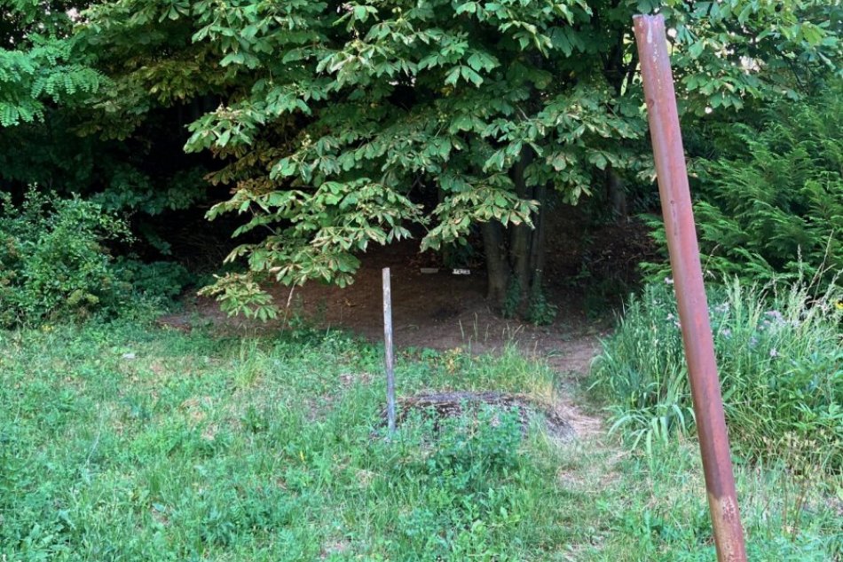 V OBRAZOCH: Eliminácia diviačej zveri na Fončorde