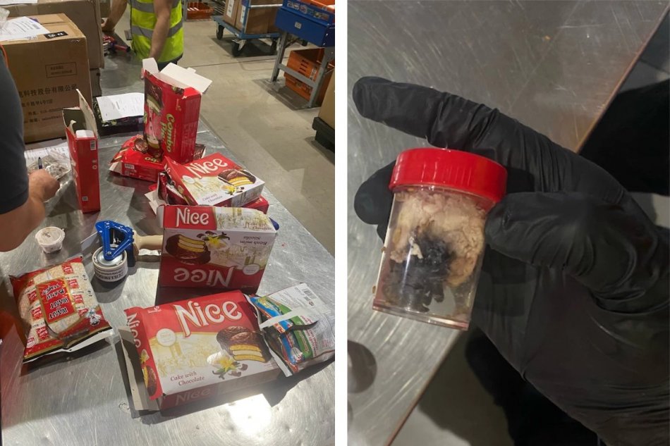 V baleniach sušienok bolo 1 500 tarantúl