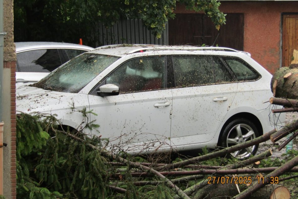 V OBRAZOCH: Zásahy mestskej polície pri spadnutých stromoch