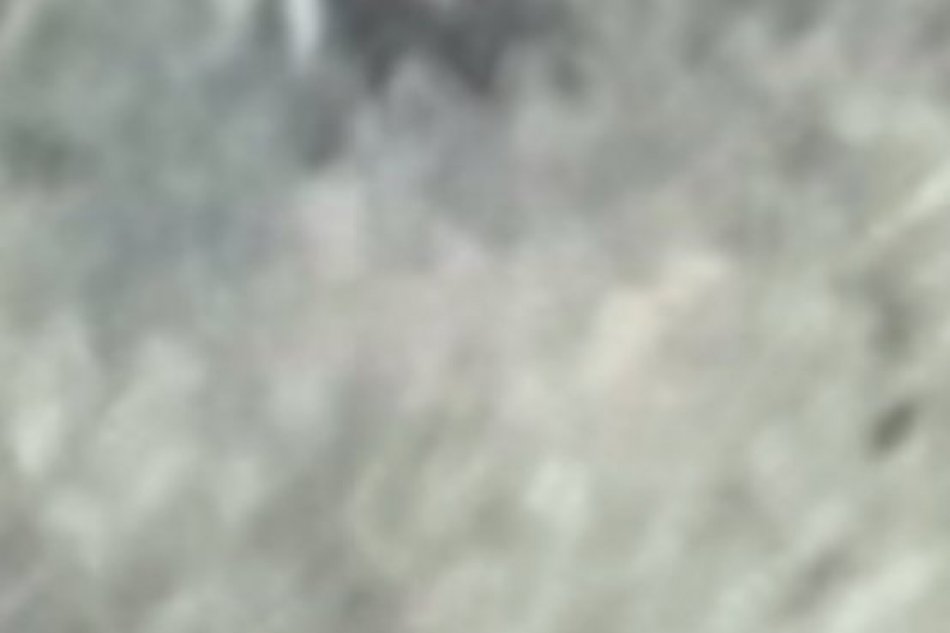 V OBRAZOCH: Medveď pri Podbrezovej