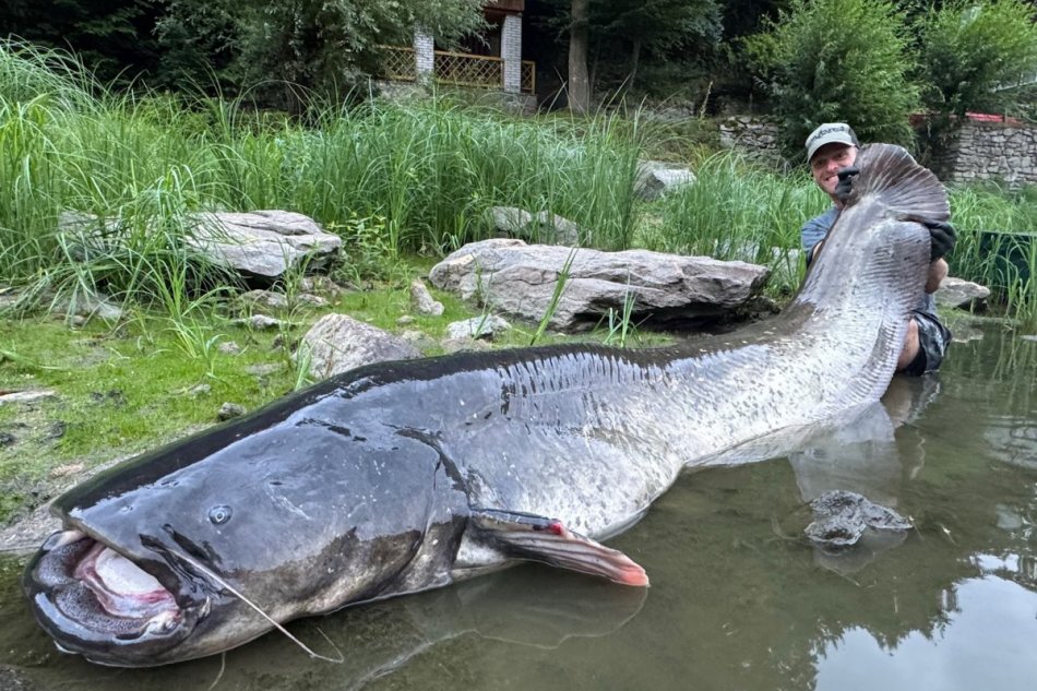 Jakub Vágner chytil rekordného 268 centimetrov dlhého sumca