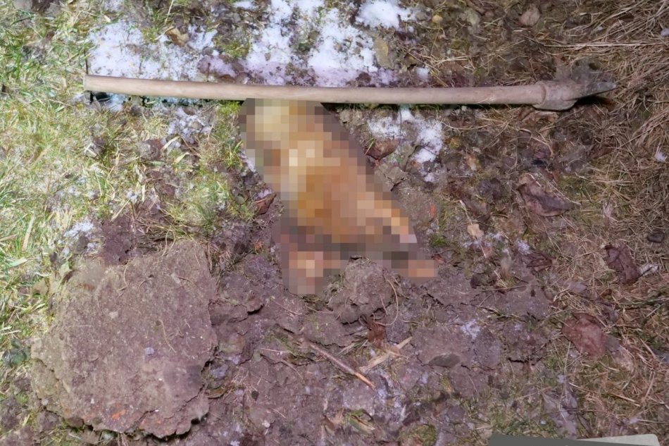V OBRAZOCH: Muž mal motykou ubiť psa na smrť
