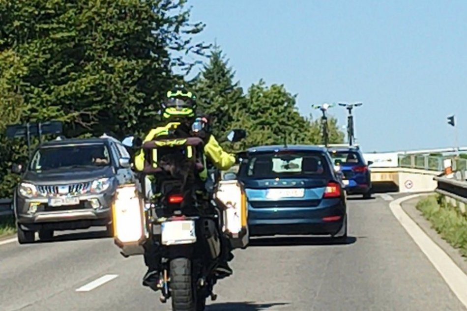 V OBRAZOCH: Pes na motorke je hitom internetu