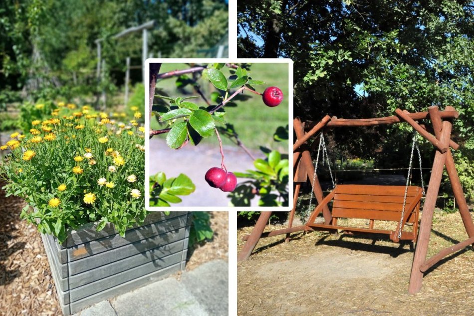 Permakultúrna záhrada SPU