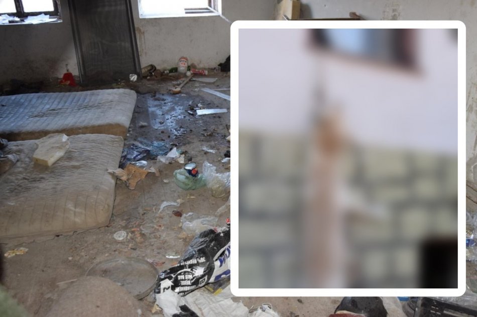 Hladom týraný pes zahynul pri pokuse o útek po skoku z okna