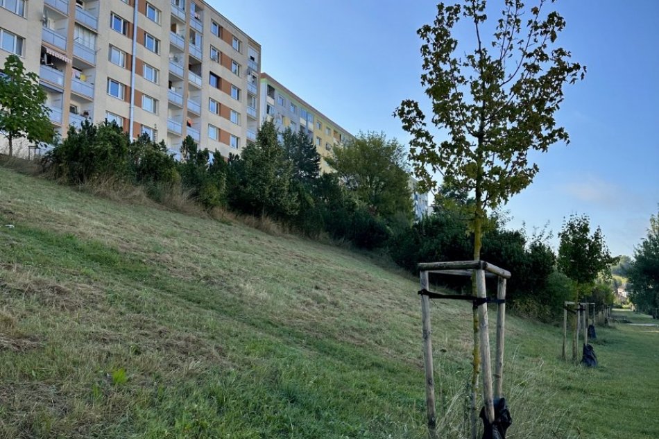 V OBRAZOCH: Údržba extenzívnych lúk v Banskej Bystrici